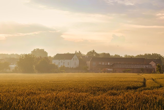 field